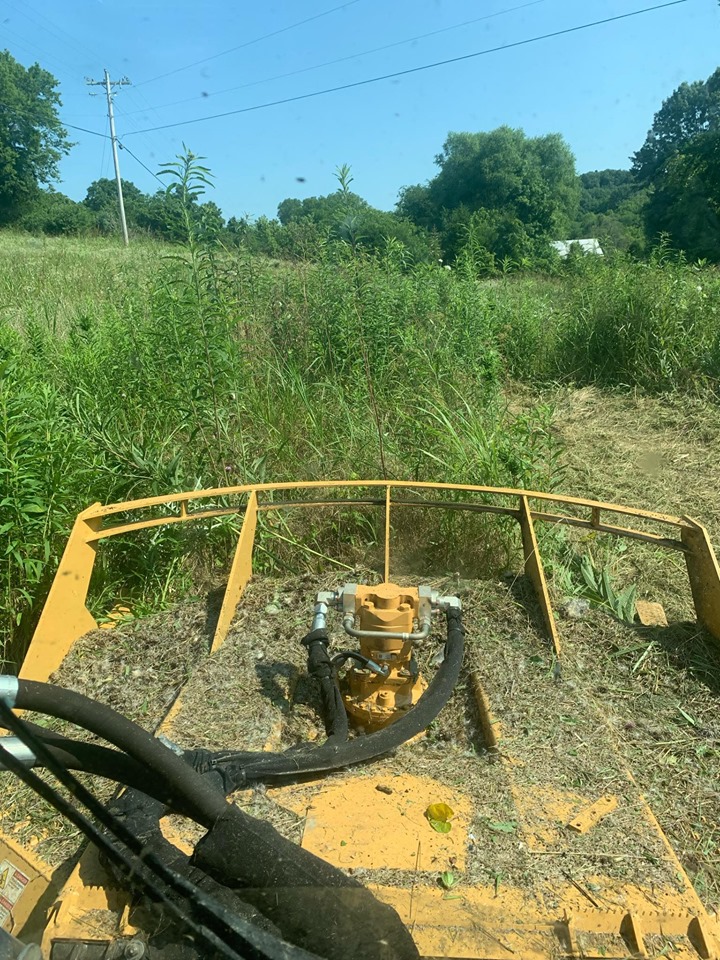 skid steer with Brush Cutter Pro X