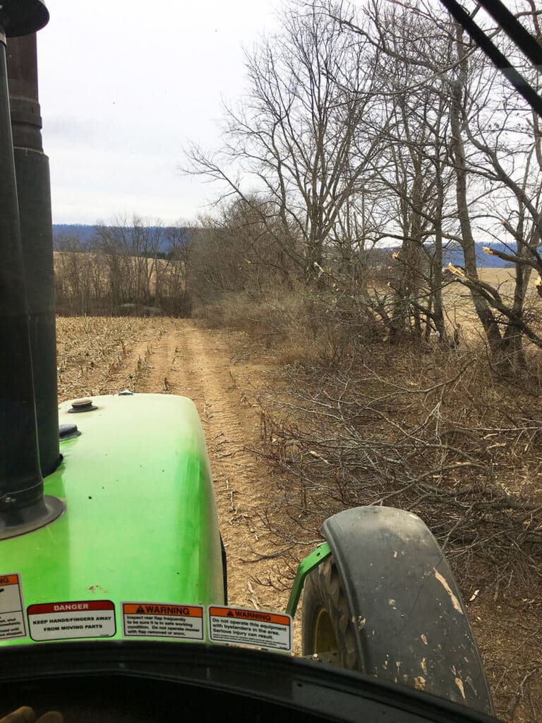 tractor cutting brush