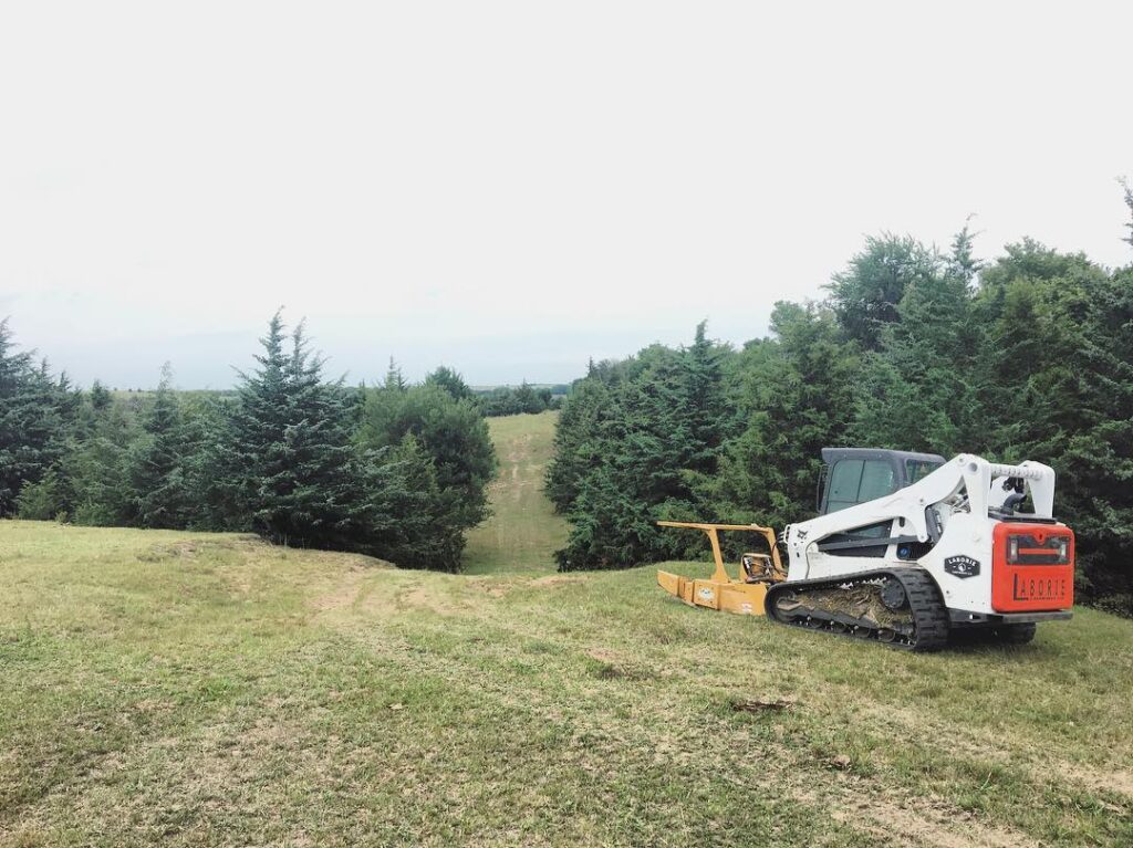 skid steer with disc mulcher