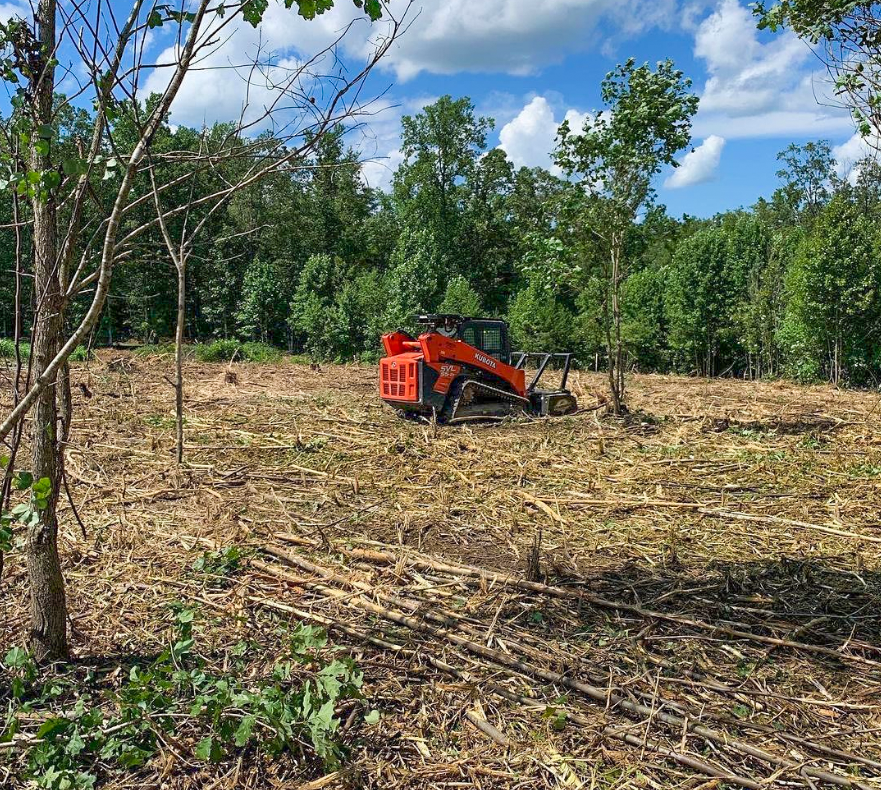 skid steer with drum mulcher