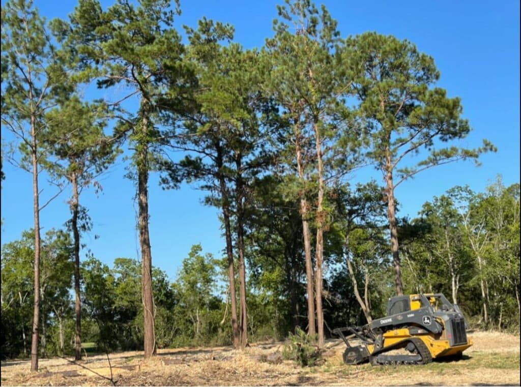 skid steer with a drum mulcher