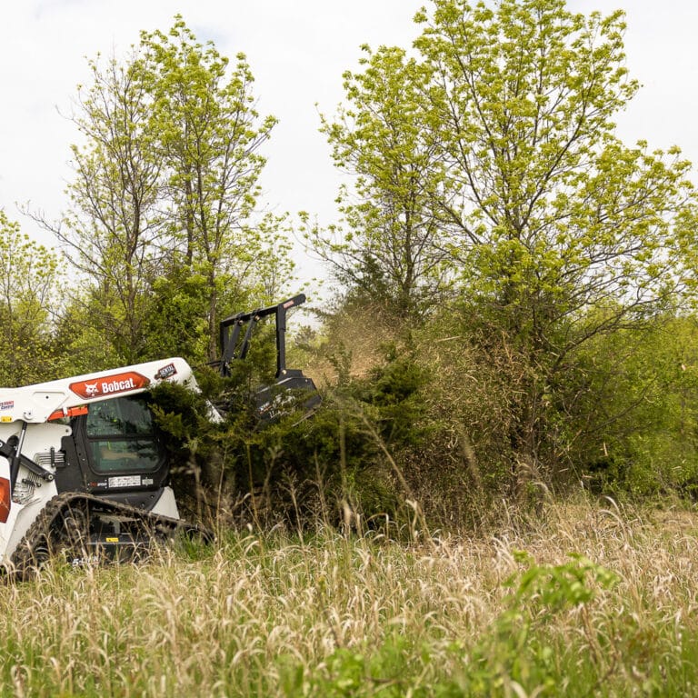 skid steer diamond drum mulcher in trees