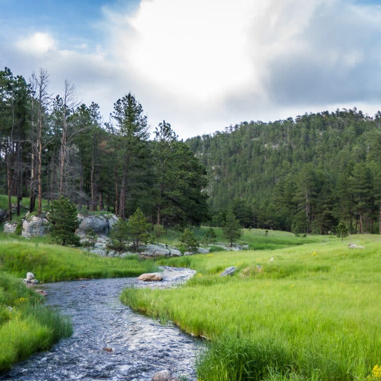 stream running through grassland