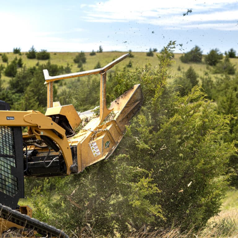 skid steer disc mulcher cutting down a tree