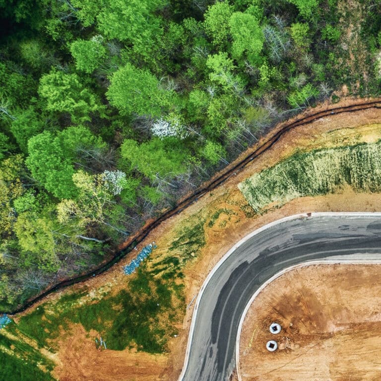 logging site preparation