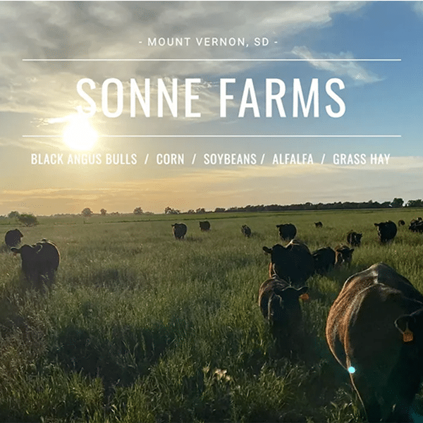 Sonne Farms Mount Vernon, SD