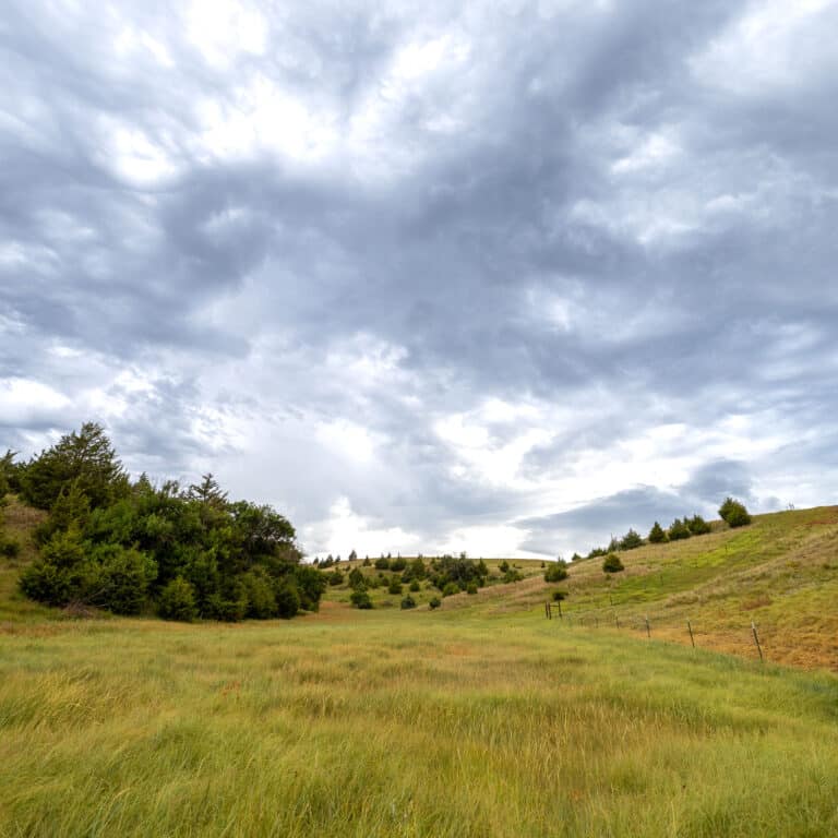 open pasture