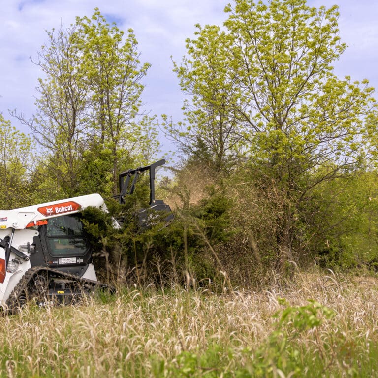 skid steer with drum mulcher cutting down tree